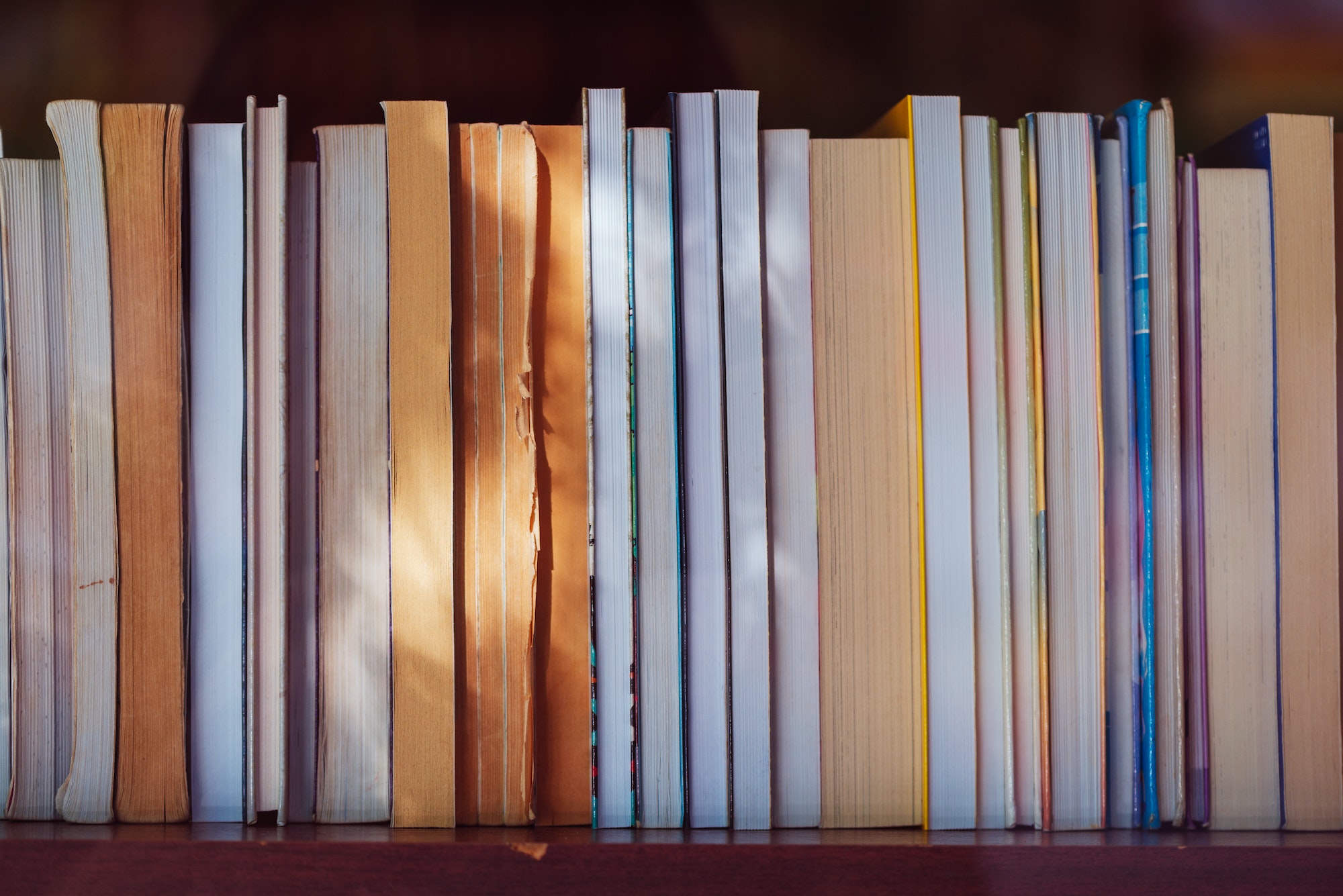 Libary books on the shelf