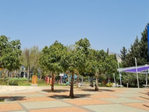 הדרכה בפארקים