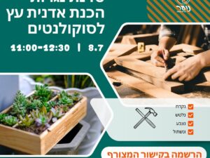 סדנת נגרות - אדניות עץ לסוקולנטים לנוער ז'-ט' החדשות