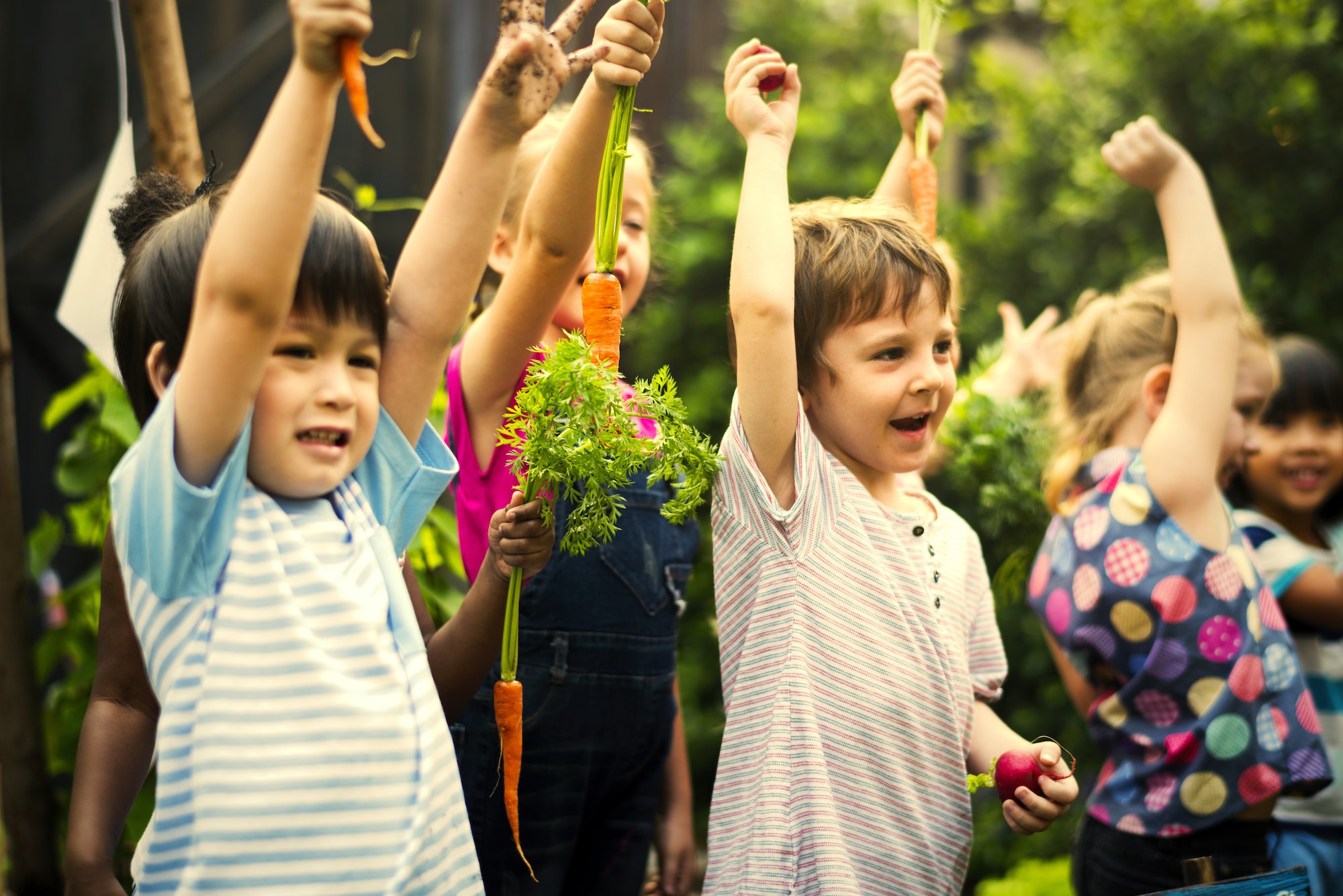 Group of kindergarten kids learning gardening outdoors