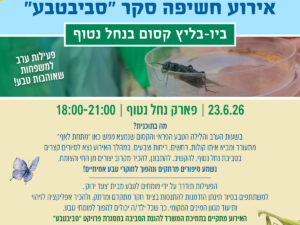 ביו בליץ קסום בנחל נטוף