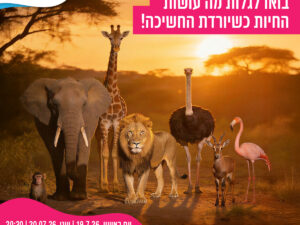 משפחות המילואים והקבע בואו לגלות מה עושות החיות כשיורדת החשיכה