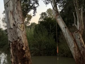 במסגרת אירועי פסטיבל בשביל בירקון - מוזמנים לסיור חושך וגחליליות בירקון