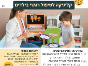 פלייר