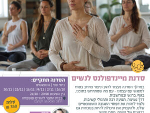 פלייר